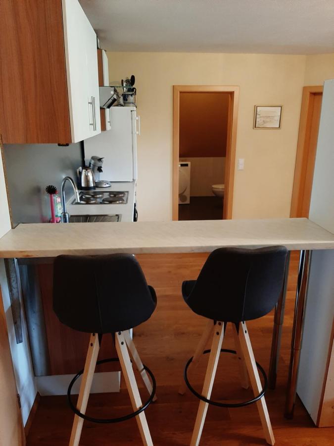 Apartamento Schwarzwaldblick Titisee-Neustadt Exterior foto